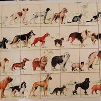 Domino chiens et chats (Cani e gatti) Fernand Nath