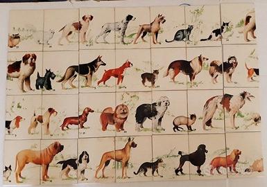Domino chiens et chats (Cani e gatti) Fernand Nath
