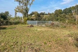 Capanno e terreno agricolo