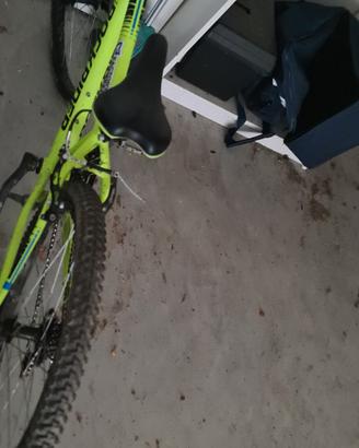 bici Dechlaton