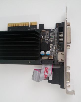 Nvidia GeForce GT 710 Palit