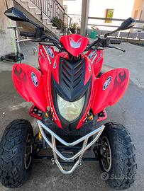 Quad Dinli 270