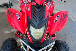 Quad Dinli 270