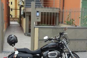 Harley Davidson 883