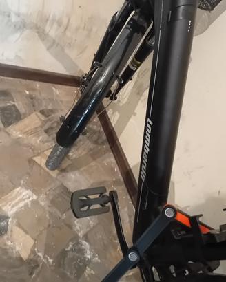 bici elettrica 