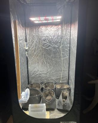 Grow box completa