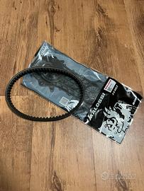 Cinghia XK belt scooter