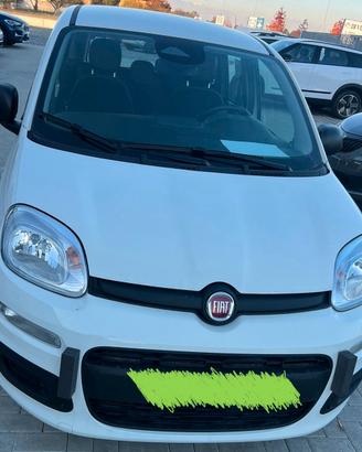 Fiat panda ibrida