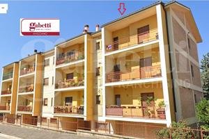 Appartamento Avezzano [AZ24120VRG]