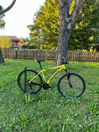 bici mtb