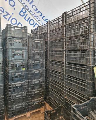 CASSETTA RUBUSTA IN PLASTICA