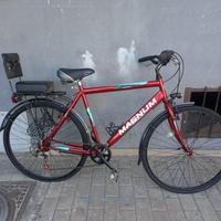 Bici Magnum