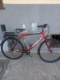 Bici Magnum