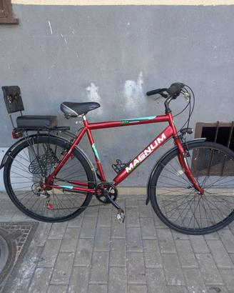 Bici Magnum
