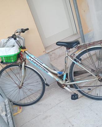 Bicicletta graziella da passeggio