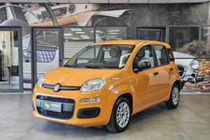 Fiat Panda 1.0 FireFly S&S Hybrid - NEOPATENTATI -