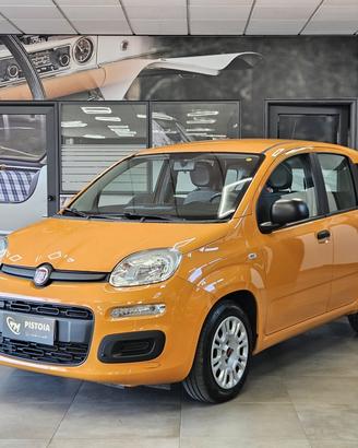 Fiat Panda 1.0 FireFly S&S Hybrid - NEOPATENTATI -