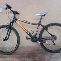 MTB Ragazzo 12-14 anni