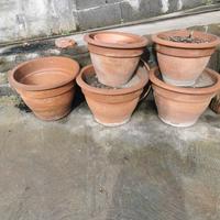 vasi in terracotta 