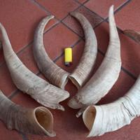 Trofei per artigianato e decorazione