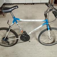 Bicicletta Mountain bike Airolg