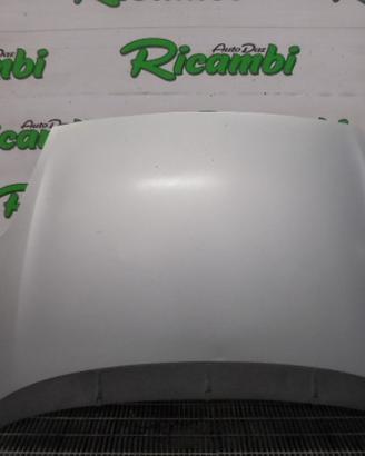 COFANO PER FIAT GRANDE PUNTO EVO ANNO 2011