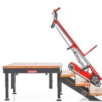 Carrello Saliscale Elettrico Buddy Lift Port 150kg