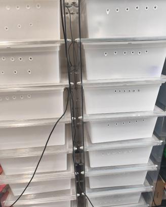 Terrario rack