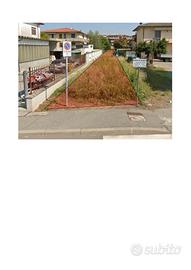 erba/fieno per animali