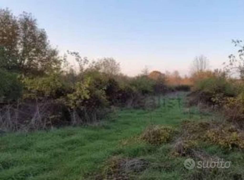 Immobile in asta di 9585 m² a Val di Nizza - Vista 2