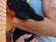 Immagine 4