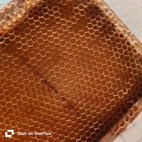 ? Melari con telaini battuti?