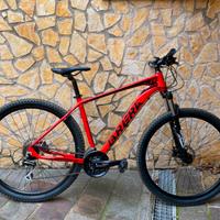 MTB Brera Overdrive 29