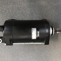 Motorino avviamento Triumph