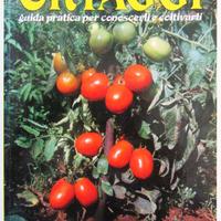 Ortaggi, guida pratica per conoscerli e coltivarli