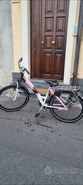 Bici da passeggio olandese