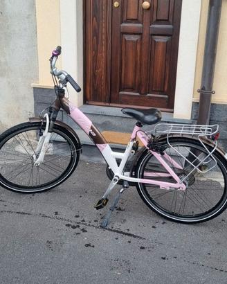 Bici da passeggio olandese