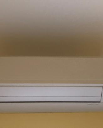 Condizionatore Daikin