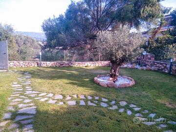 Villetta San Teodoro centro