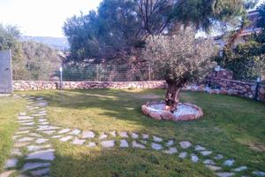 Villetta San Teodoro centro