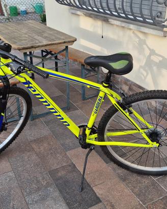 Bicicletta mtb Legnano PERFETTA