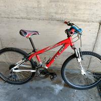 Mountain bike per ragazzo / donna