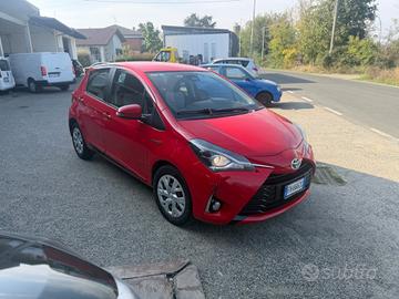 Toyota Yaris 1.5 Hybrid 5 porte Business