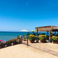 Torvaianica GIUGNO 1/15 Appartamento in Villa sul