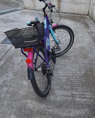 Bici bimba Puky Skyride