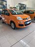 panda-1-2-5-posti