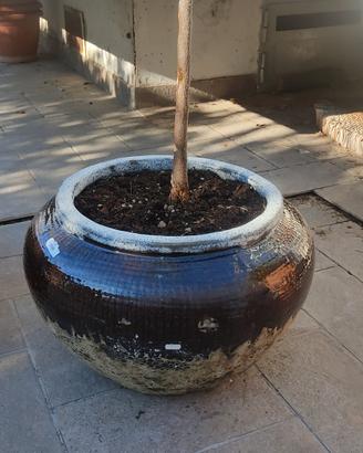 Vasi in ceramica smaltata