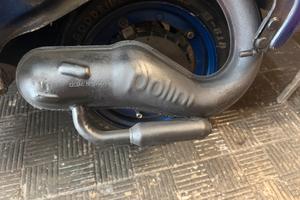 marmitta polini a spillo