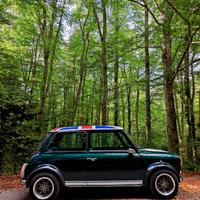 MINI AUSTI ROVER A CARBURATORI 