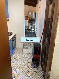 OSTIA MONOLOCALE ARREDATO Con GIARDINO MATTONATO